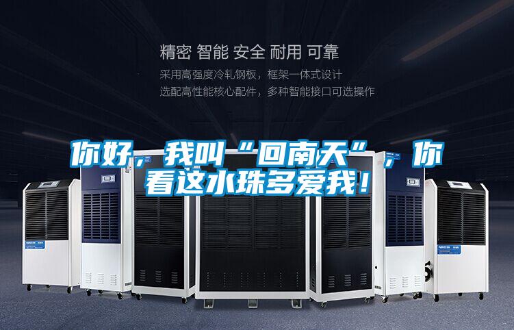 你好，我叫“回南天”，你看這水珠多愛我！