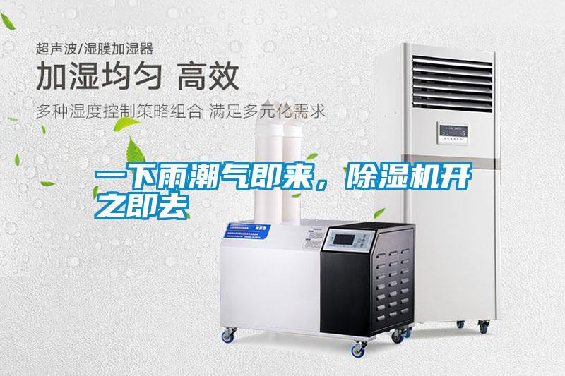 一下雨潮氣即來，除濕機開之即去