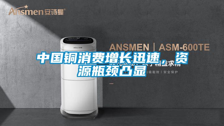 中國(guó)銅消費(fèi)增長(zhǎng)迅速，資源瓶頸凸顯