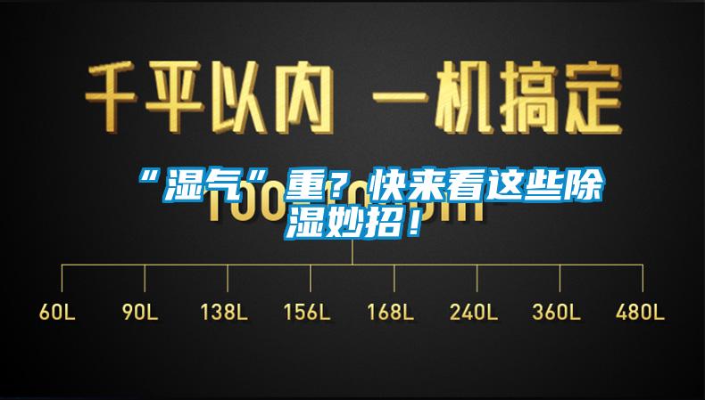 “濕氣”重？快來(lái)看這些除濕妙招！