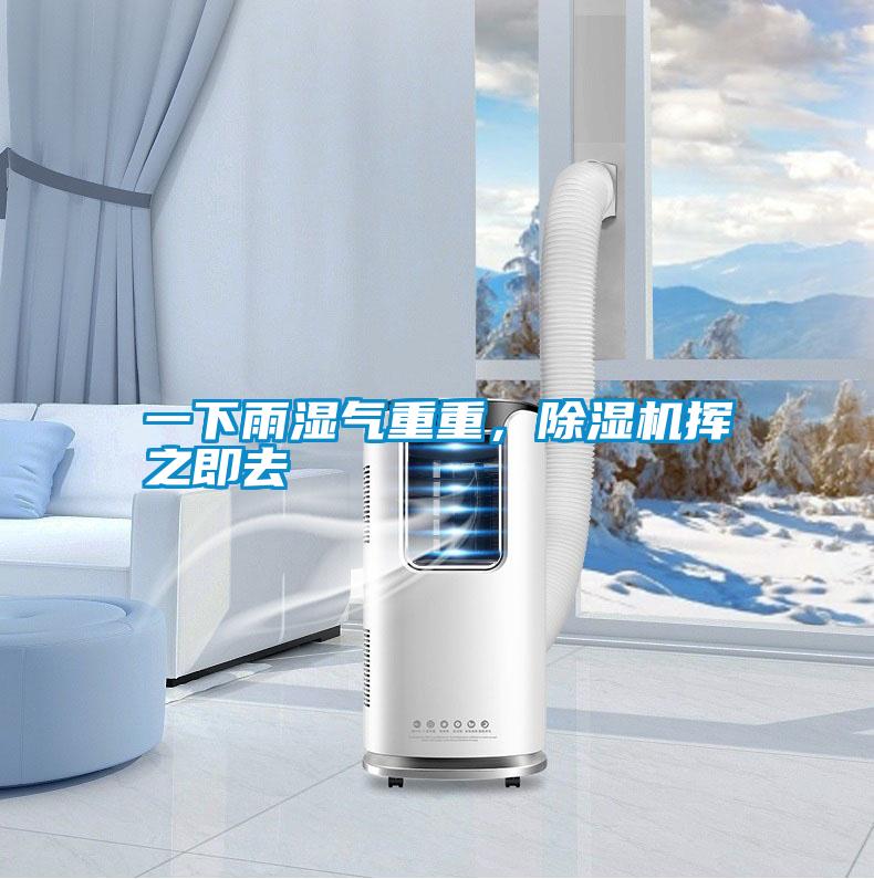 一下雨濕氣重重，除濕機揮之即去