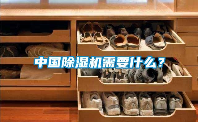 中國除濕機(jī)需要什么？