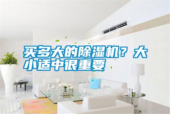 買多大的除濕機？大小適中很重要