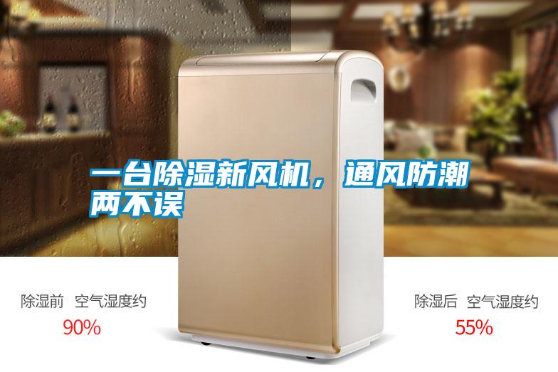 一臺除濕新風機，通風防潮兩不誤