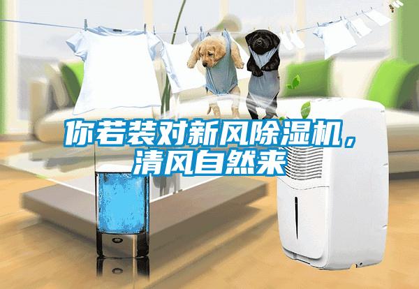 你若裝對新風(fēng)除濕機(jī)，清風(fēng)自然來