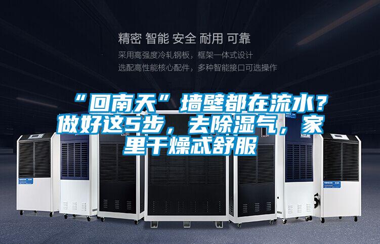 “回南天”墻壁都在流水？做好這5步，去除濕氣，家里干燥忒舒服