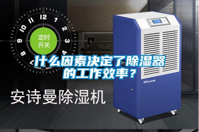 什么因素決定了除濕器的工作效率？