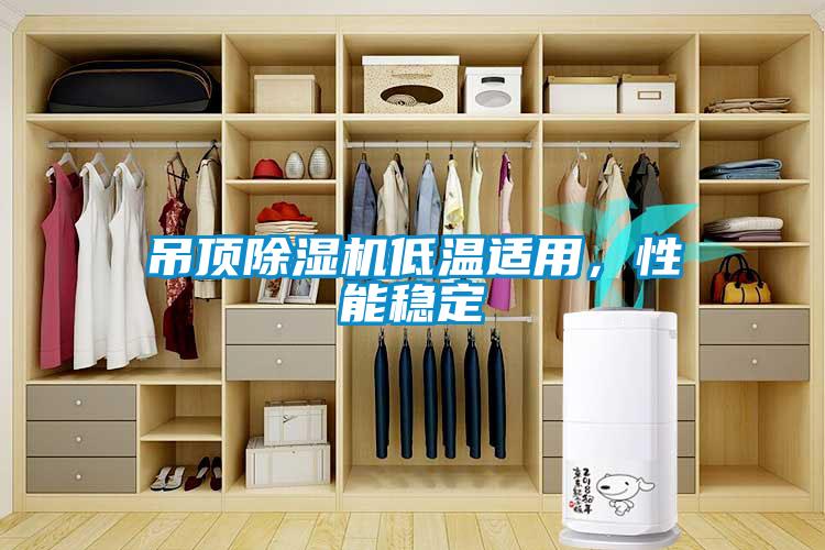 吊頂除濕機低溫適用，性能穩(wěn)定