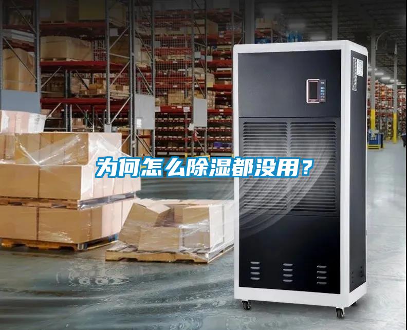 為何怎么除濕都沒(méi)用？