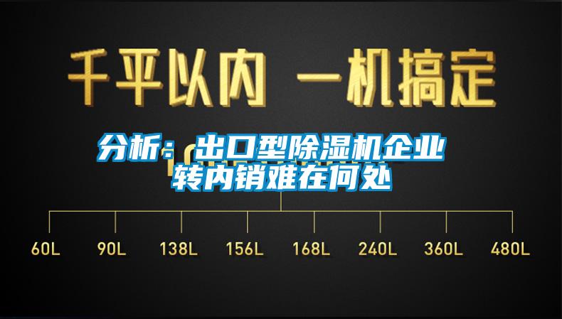 分析：出口型除濕機企業(yè) 轉(zhuǎn)內(nèi)銷難在何處