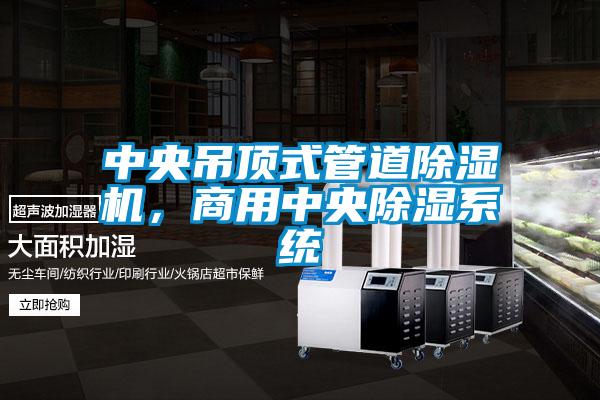 中央吊頂式管道除濕機(jī)，商用中央除濕系統(tǒng)