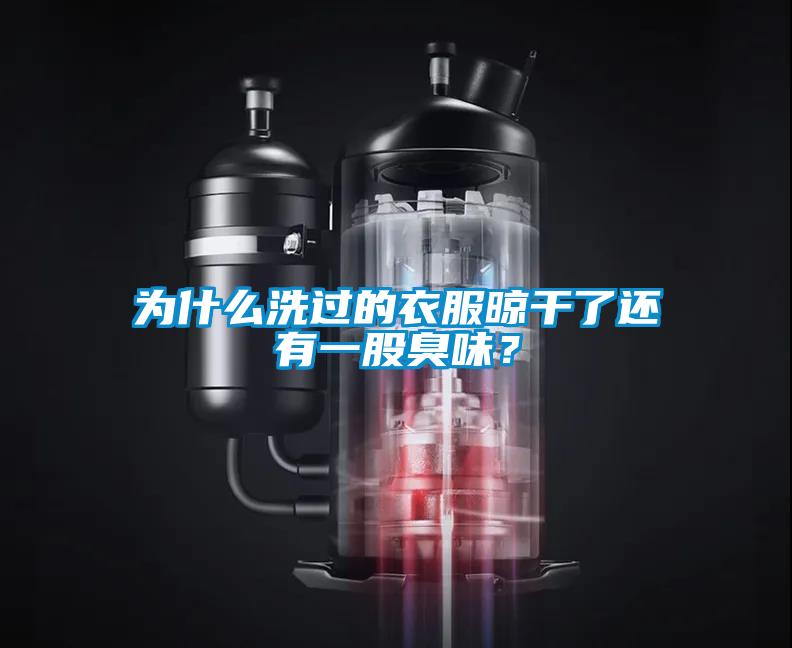 為什么洗過的衣服晾干了還有一股臭味？