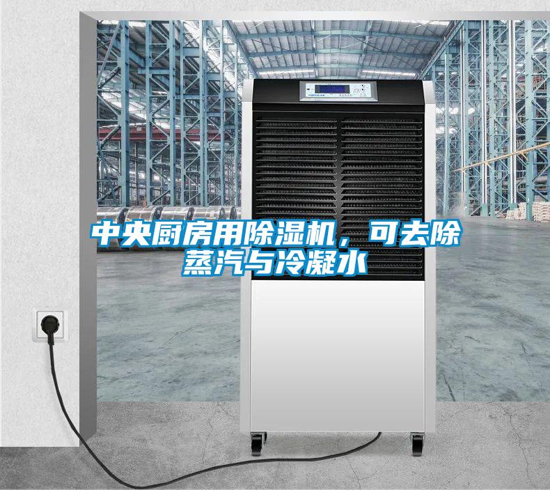 中央廚房用除濕機，可去除蒸汽與冷凝水