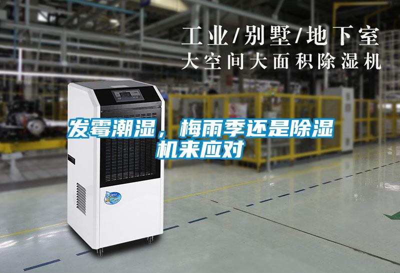 發(fā)霉潮濕，梅雨季還是除濕機來應對