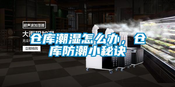 倉庫潮濕怎么辦，倉庫防潮小秘訣