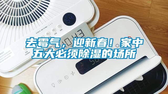 去霉氣，迎新春！家中五大必須除濕的場所