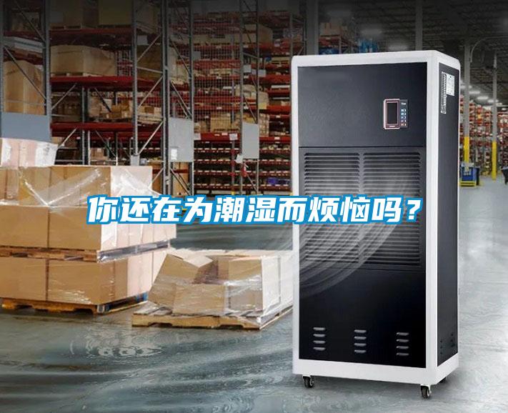 你還在為潮濕而煩惱嗎？