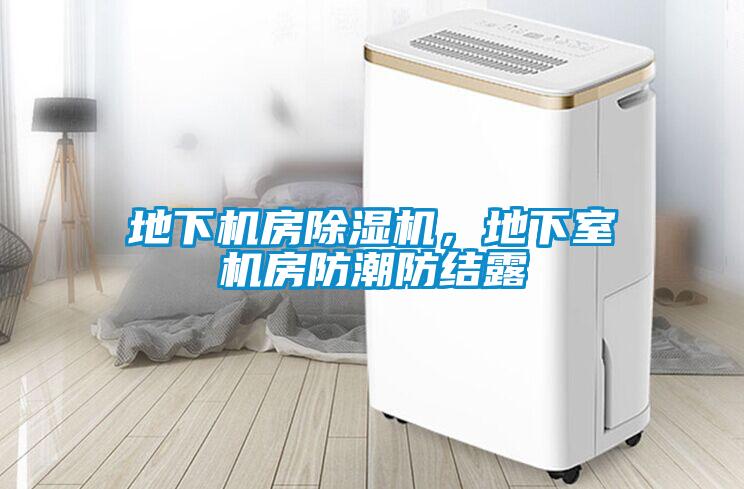 地下機(jī)房除濕機(jī)，地下室機(jī)房防潮防結(jié)露