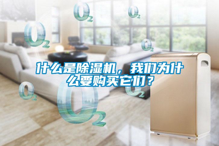 什么是除濕機(jī)，我們?yōu)槭裁匆徺I它們？