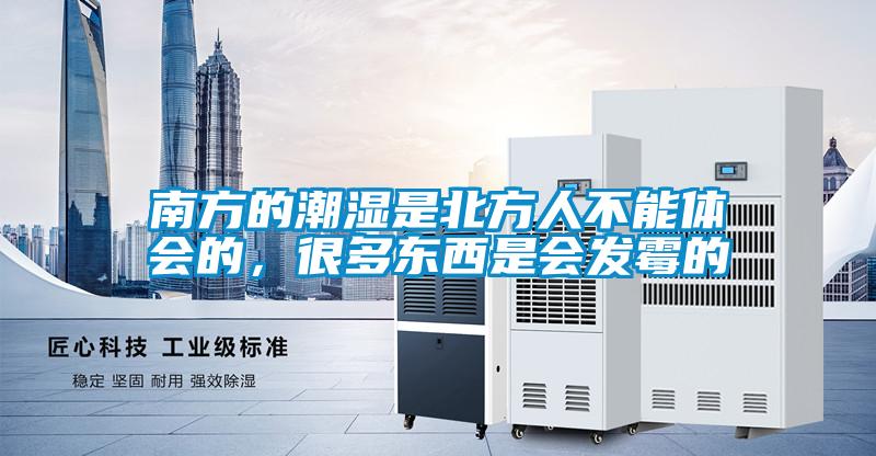 南方的潮濕是北方人不能體會的，很多東西是會發(fā)霉的