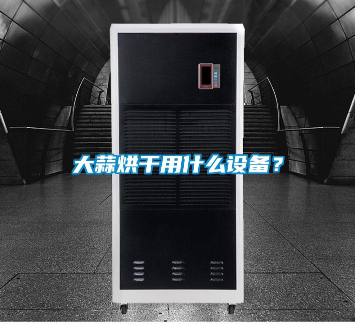 大蒜烘干用什么設(shè)備？