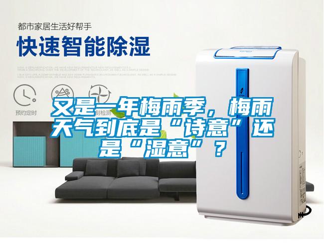 又是一年梅雨季，梅雨天氣到底是“詩意”還是“濕意”？