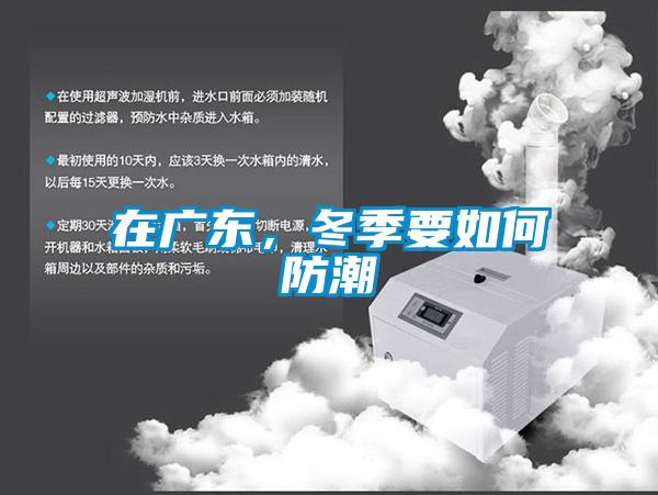 在廣東，冬季要如何防潮