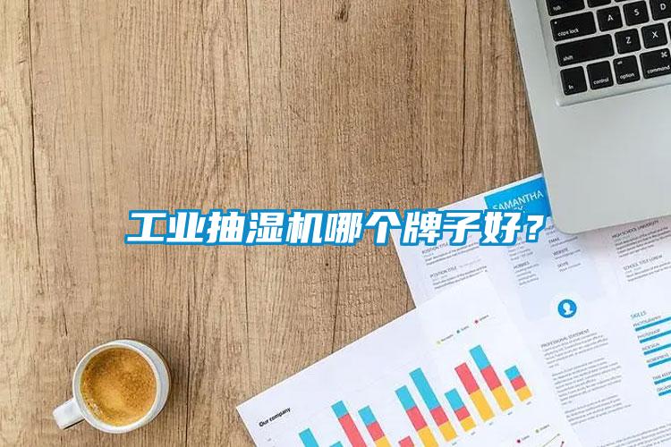 工業(yè)抽濕機哪個牌子好？