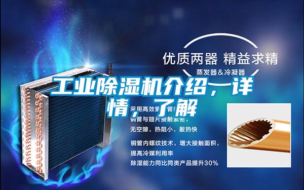 工業(yè)除濕機(jī)介紹，詳情，了解