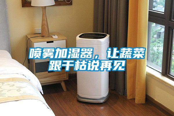 噴霧加濕器，讓蔬菜跟干枯說再見