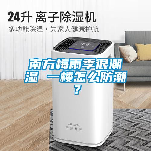 南方梅雨季很潮濕 一樓怎么防潮？