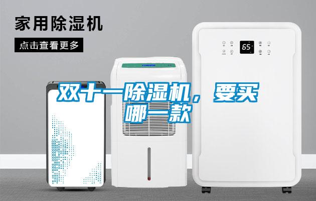 雙十一除濕機(jī)，要買哪一款