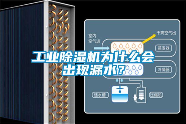 工業(yè)除濕機(jī)為什么會(huì)出現(xiàn)漏水？