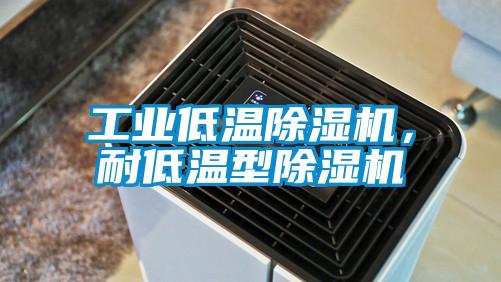 工業(yè)低溫除濕機(jī)，耐低溫型除濕機(jī)