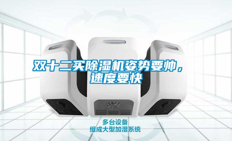 雙十二買除濕機(jī)姿勢(shì)要帥， 速度要快