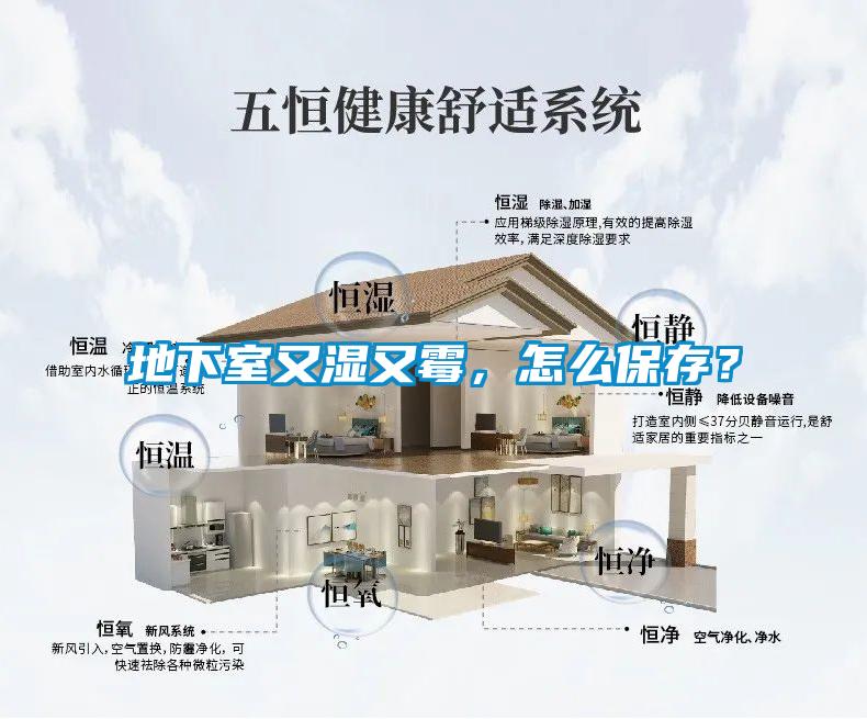 地下室又濕又霉，怎么保存？