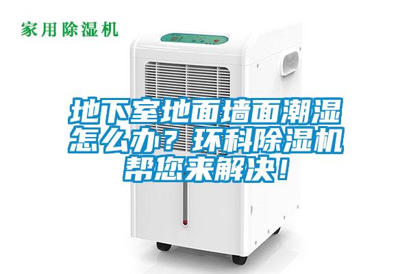 地下室地面墻面潮濕怎么辦？環(huán)科除濕機幫您來解決！