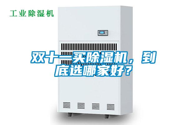 雙十一買除濕機(jī)，到底選哪家好？
