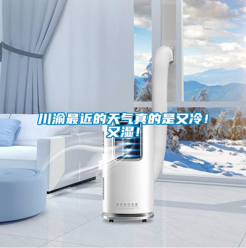 川渝最近的天氣真的是又冷！又濕！