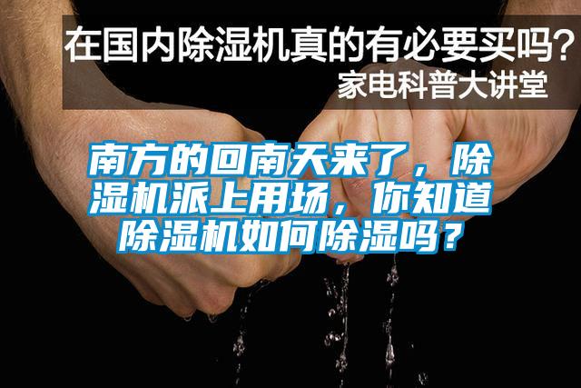 南方的回南天來了，除濕機派上用場，你知道除濕機如何除濕嗎？