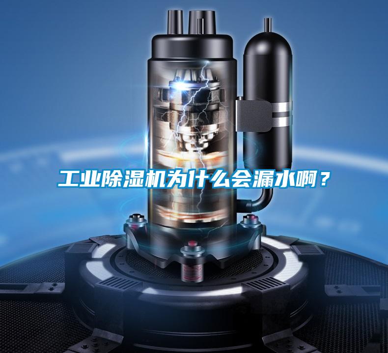 工業(yè)除濕機(jī)為什么會(huì)漏水??？