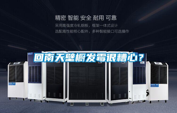 回南天壁櫥發(fā)霉很糟心？