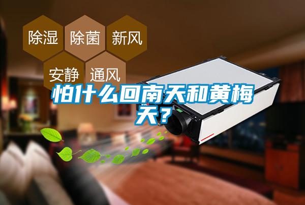 怕什么回南天和黃梅天？