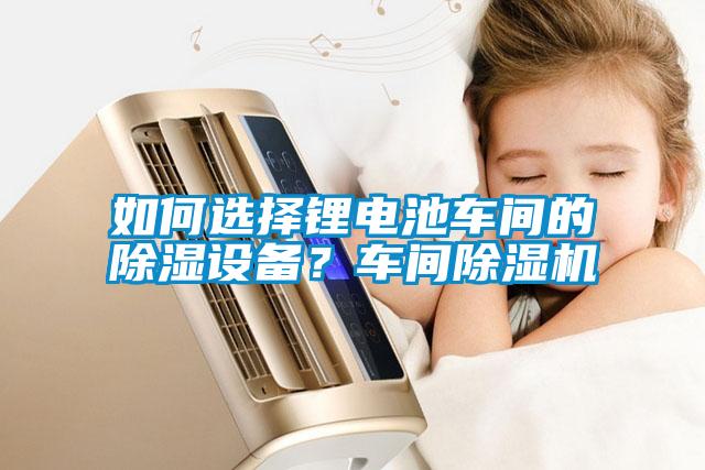 如何選擇鋰電池車間的除濕設(shè)備？車間除濕機