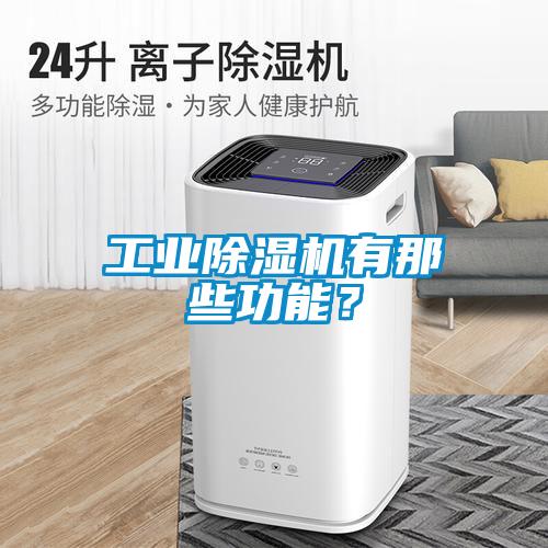 工業(yè)除濕機(jī)有那些功能？