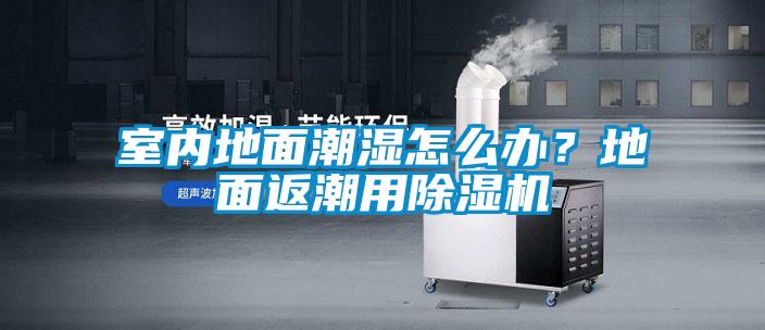 室內(nèi)地面潮濕怎么辦？地面返潮用除濕機