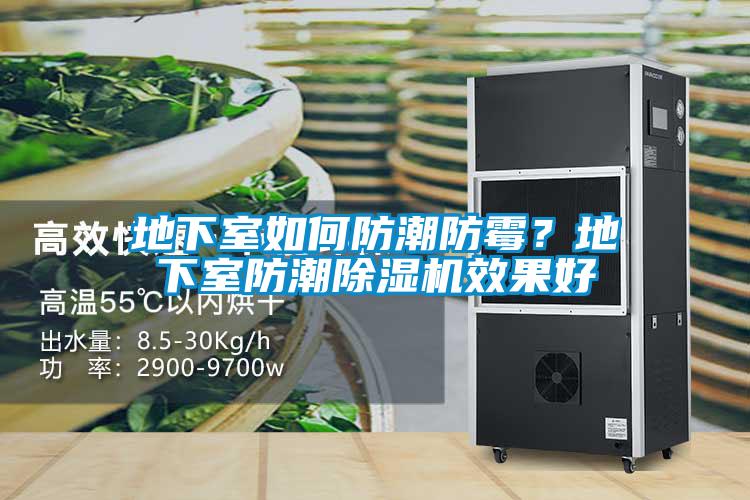 地下室如何防潮防霉？地下室防潮除濕機(jī)效果好
