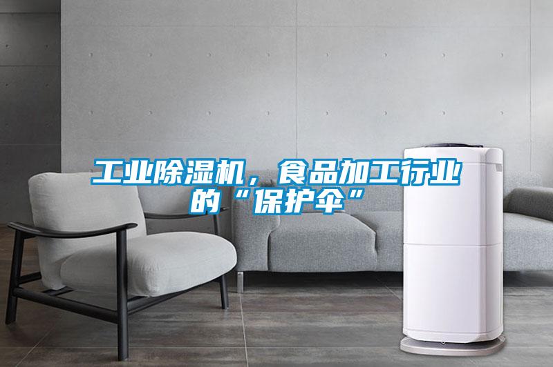 工業(yè)除濕機，食品加工行業(yè)的“保護傘”