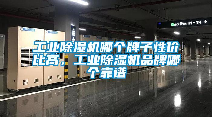 工業(yè)除濕機(jī)哪個(gè)牌子性價(jià)比高，工業(yè)除濕機(jī)品牌哪個(gè)靠譜