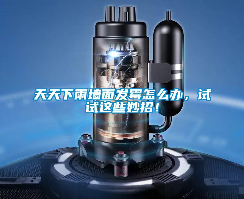 天天下雨墻面發(fā)霉怎么辦，試試這些妙招！